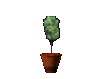 Growing Tree