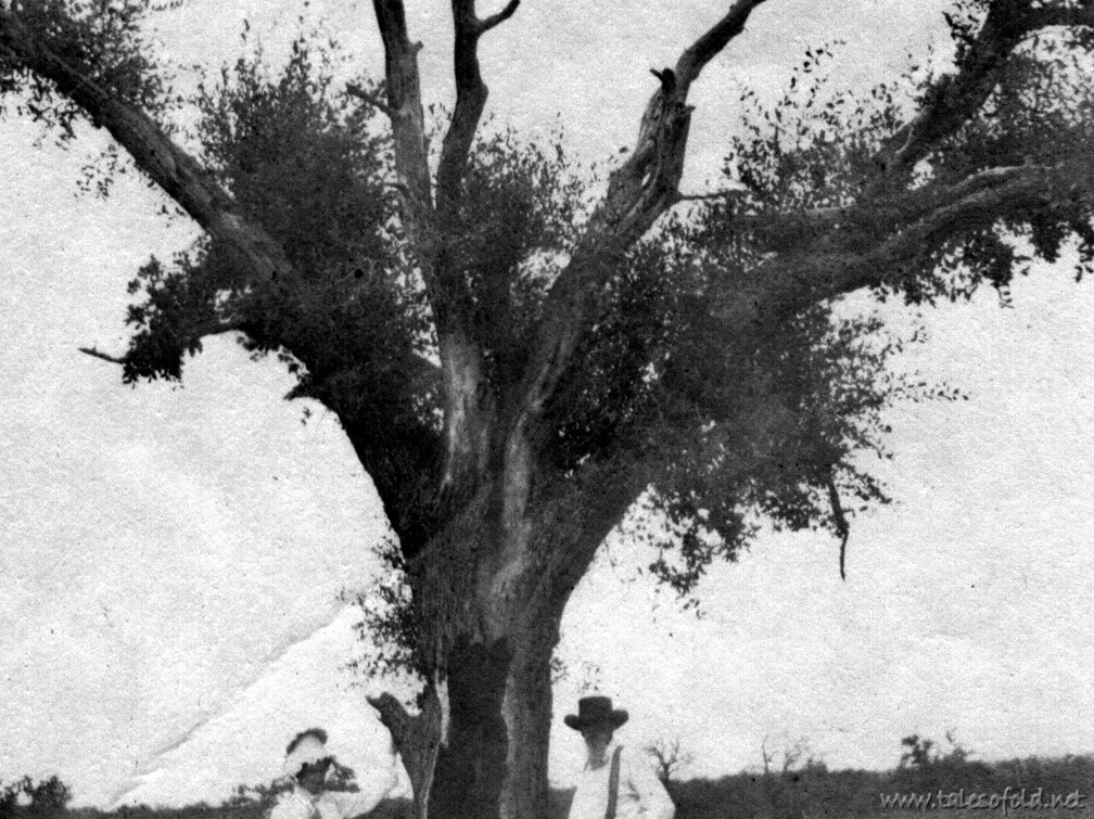 Dollie Daniel Alexander and Joseph Alexander under a Live Oak