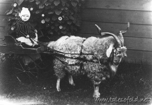 James Frank Williams and a Goat Cart