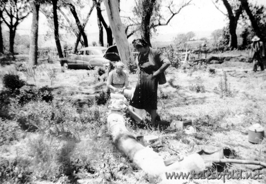 Lunch Near Walsenberg, Colorado, May 24, 1947
